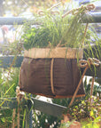 Epiphyle | Natural planter and its complete kit