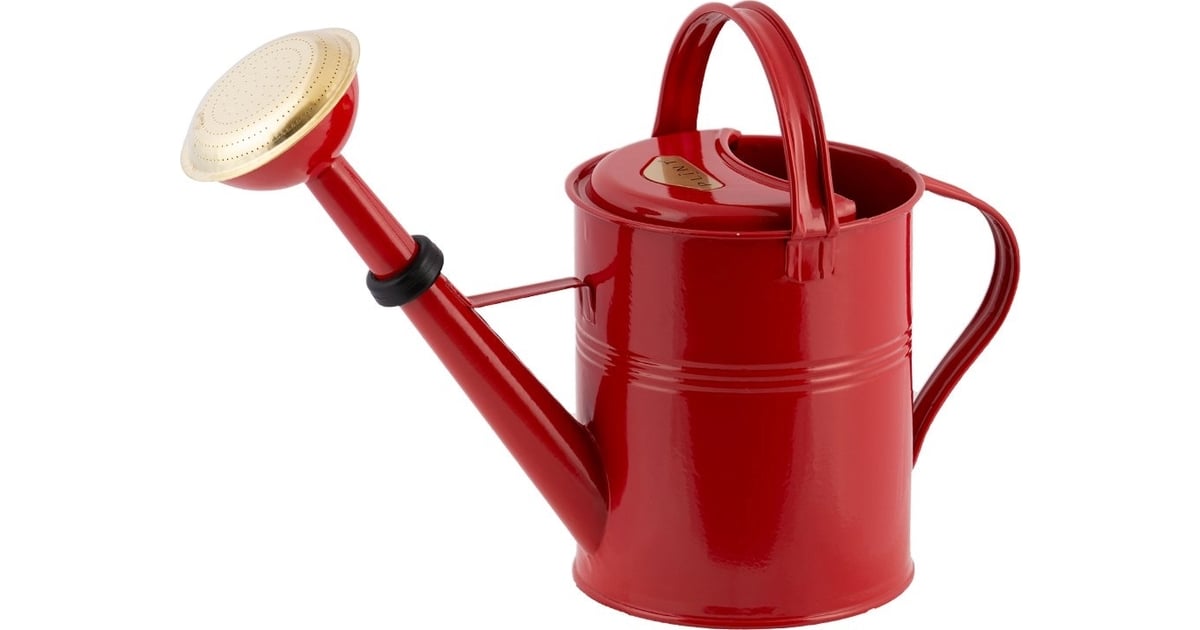 plint | Watering can (Several options)