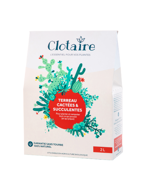 Terreau cactées &amp; succulentes - Clotaire