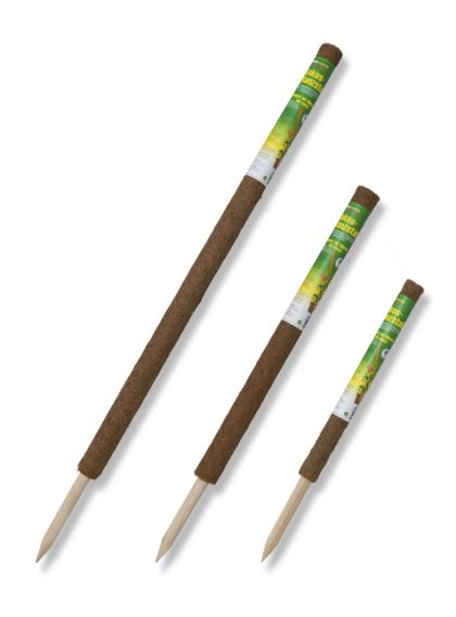 Coco Stakes (Several sizes).